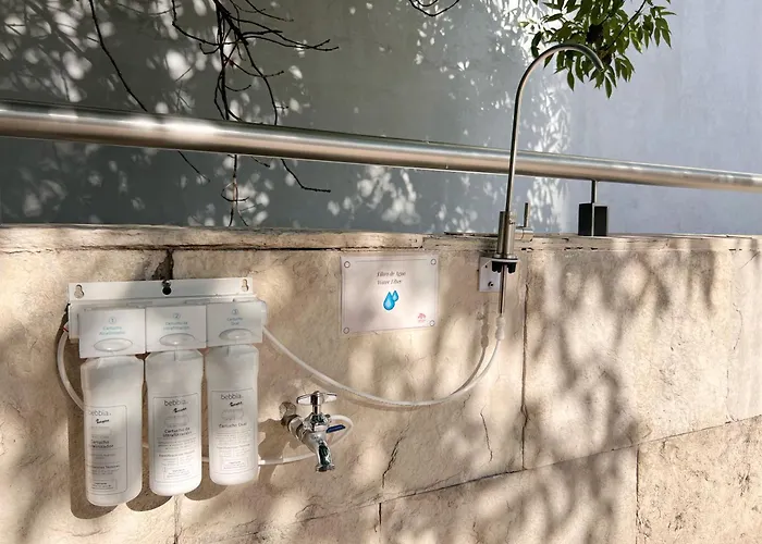 Condesa Amsterdam D Sunny 2bed 1bath In Condesa Holiday home *