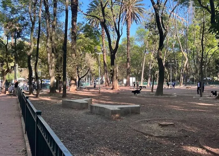 Condesa Amsterdam D Sunny 2bed 1bath In Condesa *