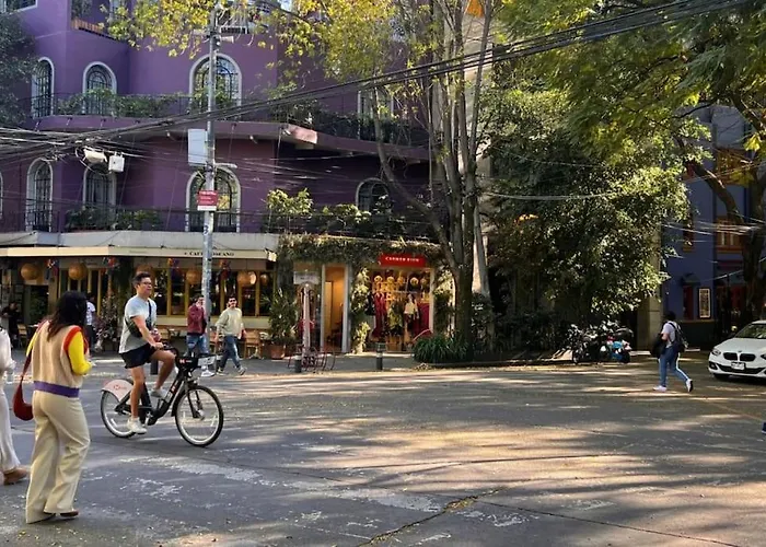 Condesa Amsterdam D Sunny 2bed 1bath In Condesa Mexico City