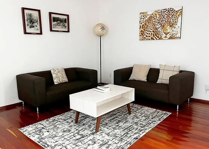 Condesa Amsterdam D Sunny 2bed 1bath In Condesa * México DF