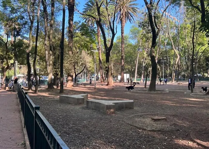 Condesa Amsterdam D Sunny 2bed 1bath In Condesa Сasa de vacaciones